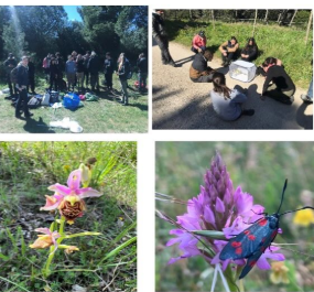 Laconi al centro della Ricerca Scientifica Internazionale